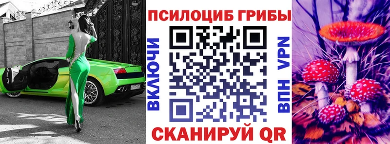где можно купить   Усолье  Псилоцибиновые грибы прущие грибы 